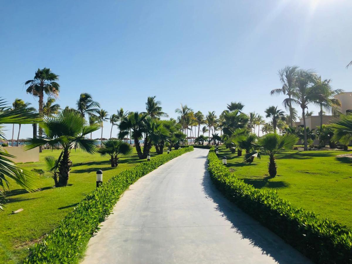 1-bedroom On Forest Island & Oceanside View Apartment *