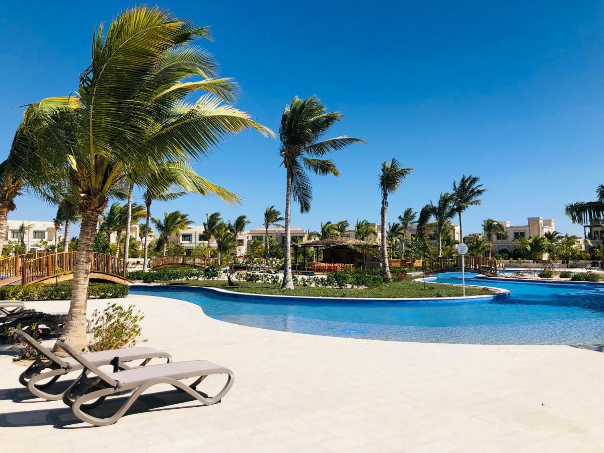 1-bedroom On Forest Island & Oceanside View Apartment