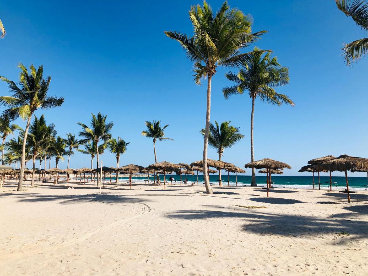 Apartment 1-bedroom On Forest Island & Oceanside View *