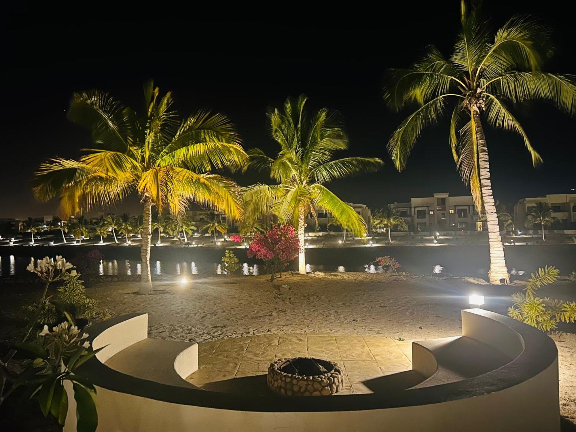 Apartment 1-bedroom On Forest Island & Oceanside View *