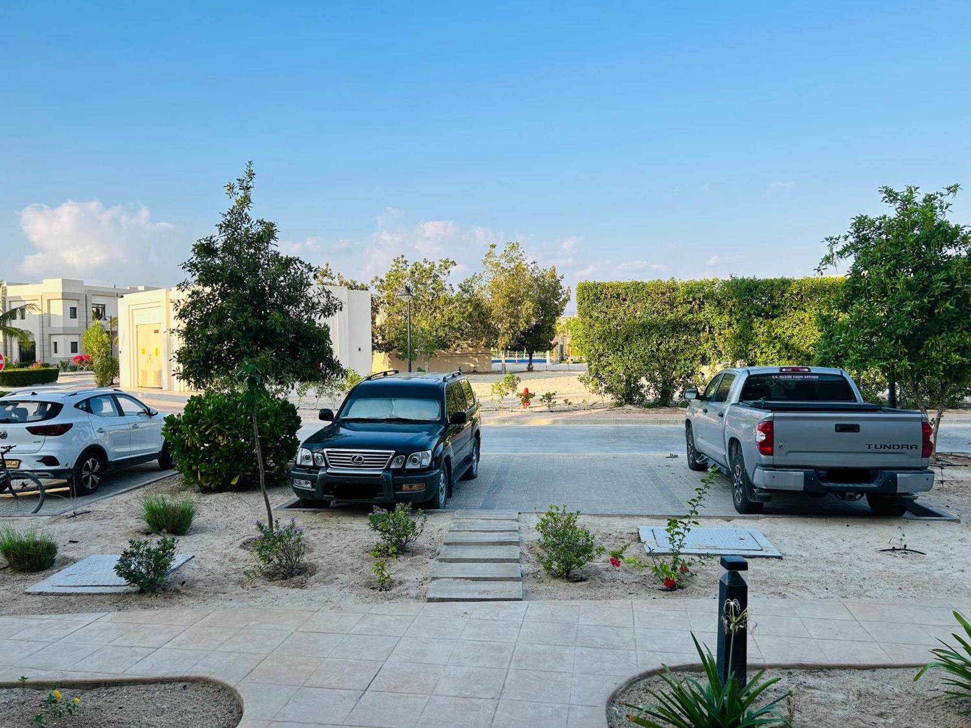 Apartment 1-bedroom On Forest Island & Oceanside View *